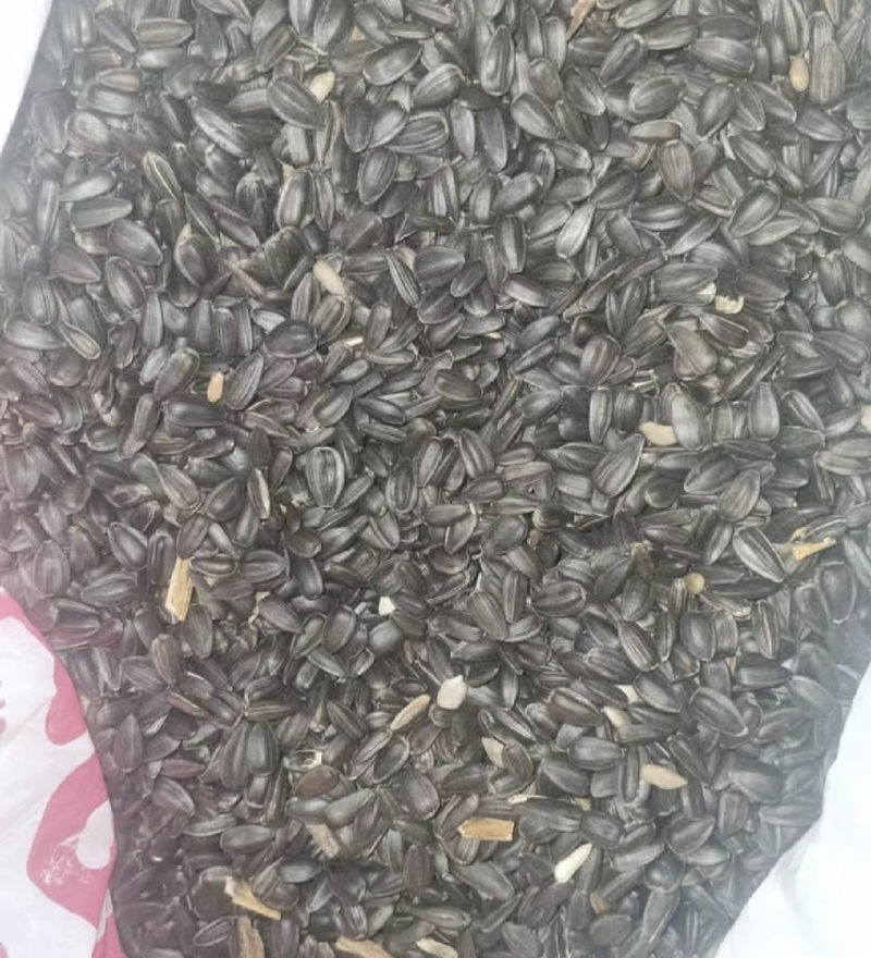 葵花籽油葵油葵瓜子油葵籽厂家直销价格优惠
