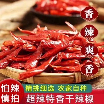 农家自种特香辣干辣椒