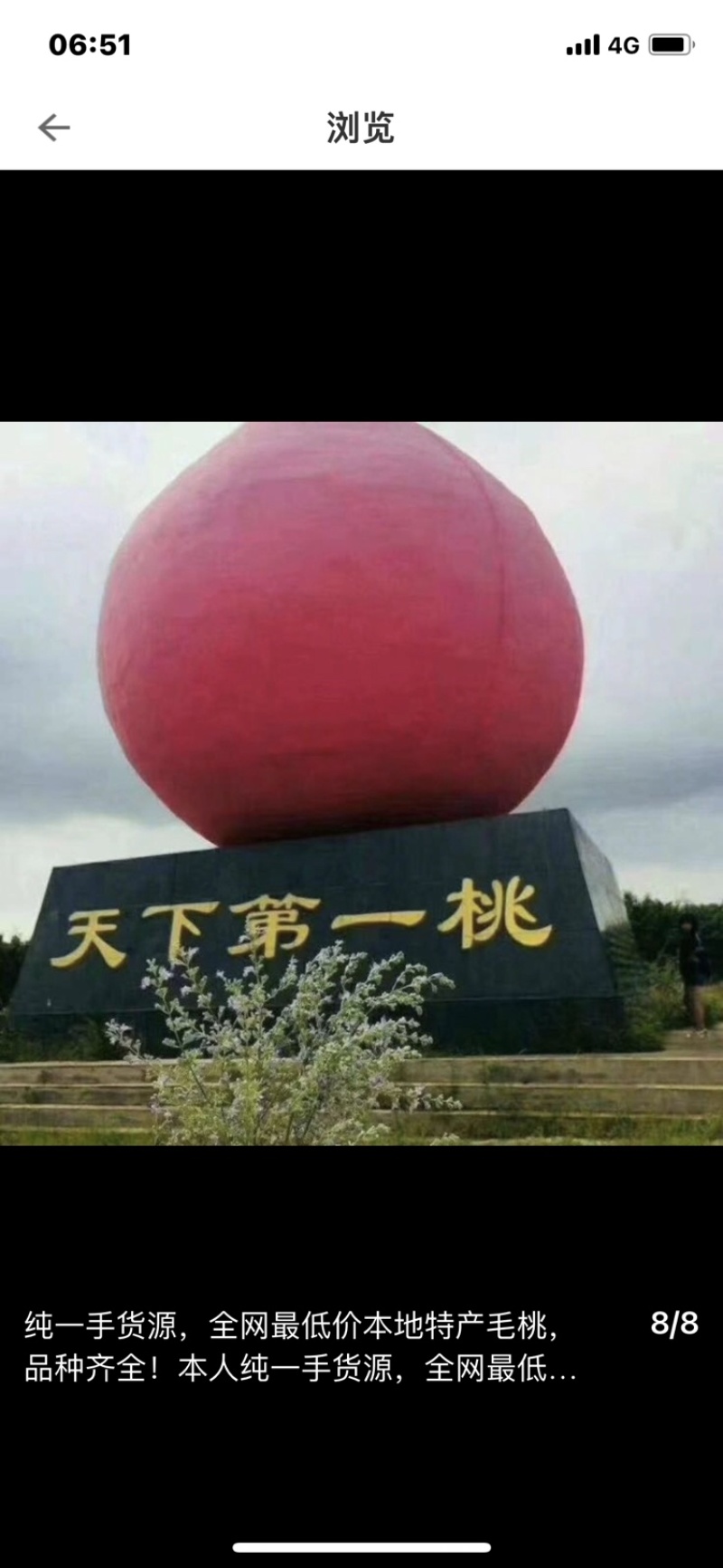 自产自销突围桃