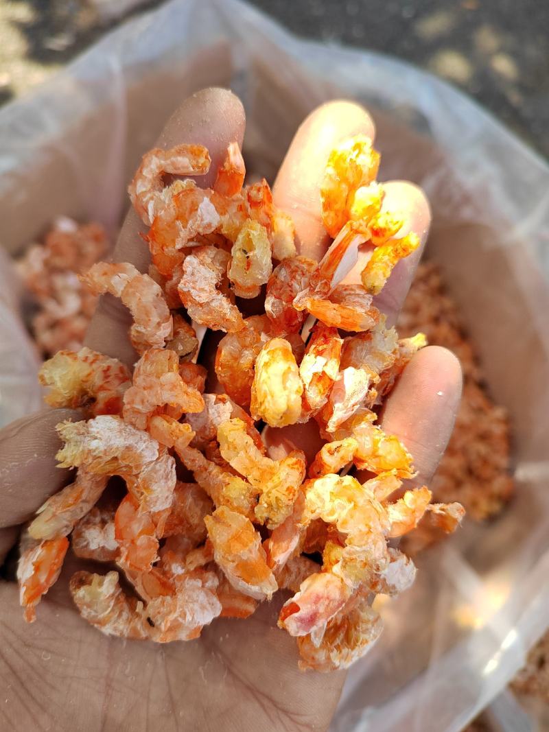 白葱海米，厂家直销，质量有保证，证件齐全