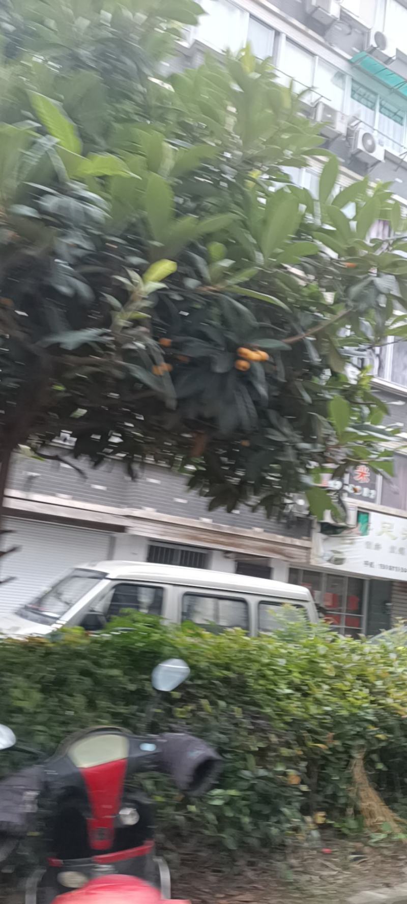 稻壳