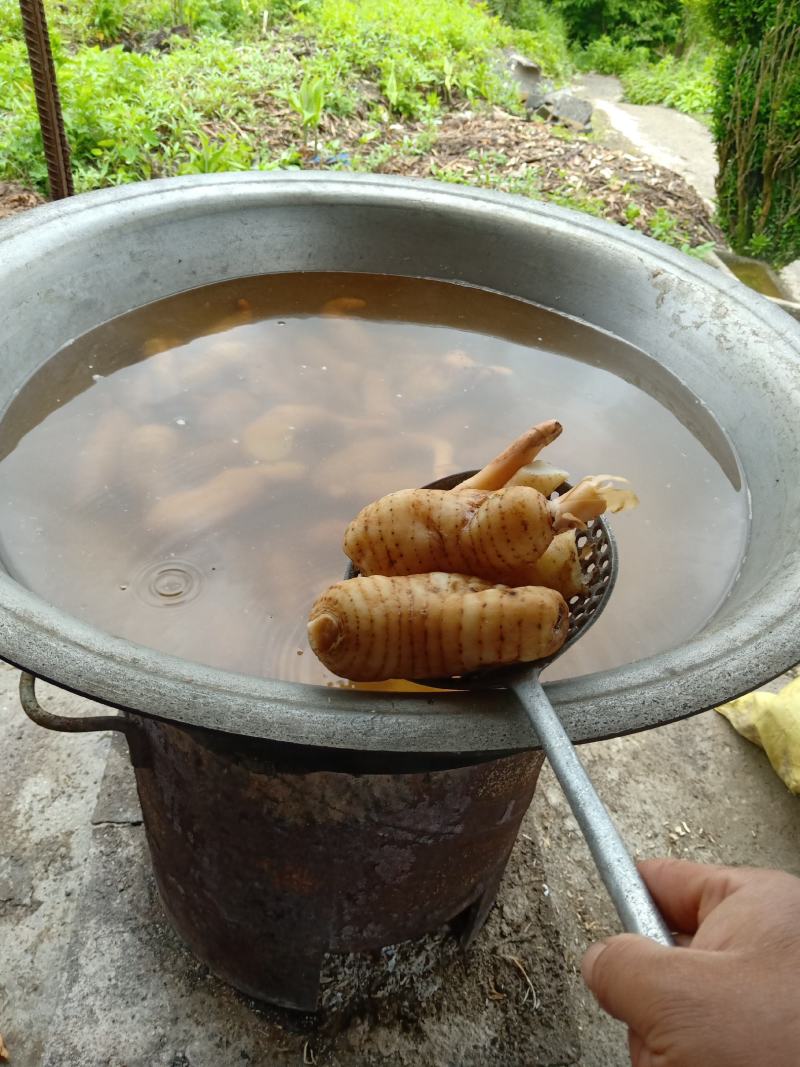 云南昭通彝良小草坝乌天麻干嘛自产自销，全国包邮，坏果包赔