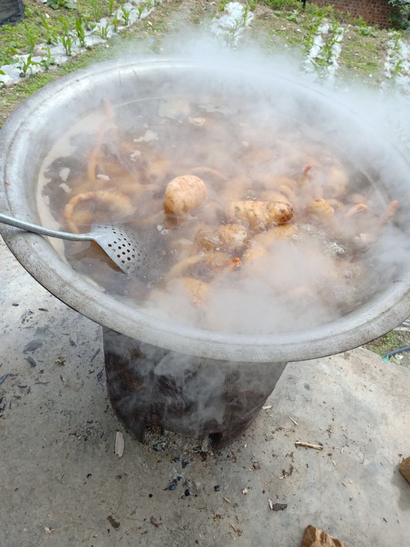 云南昭通彝良小草坝乌天麻干嘛自产自销，全国包邮，坏果包赔