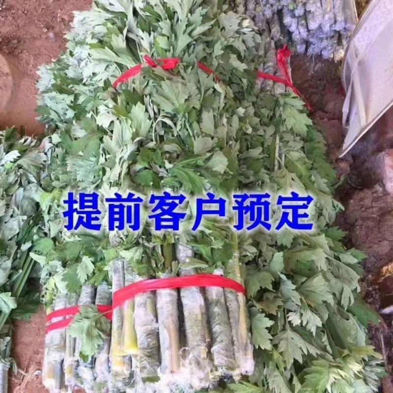 艾草新鲜端午节挂门驱蚊虫野生正宗艾草整棵带杆现割洗澡泡脚