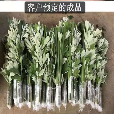 艾草新鲜端午节挂门驱蚊虫野生正宗艾草整棵带杆现割洗澡泡脚