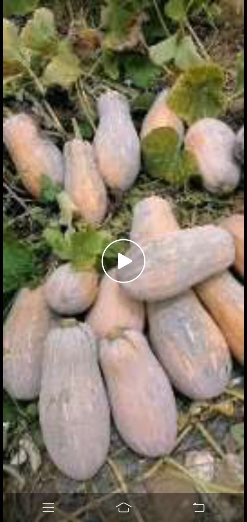 有5到6吨货