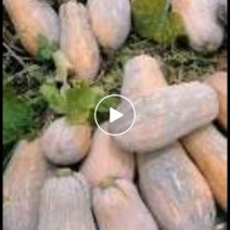 有5到6吨货