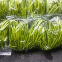 黄花菜