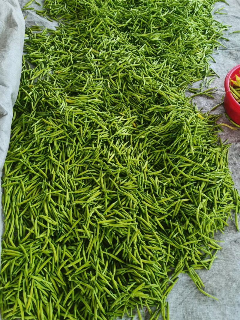 黄花菜