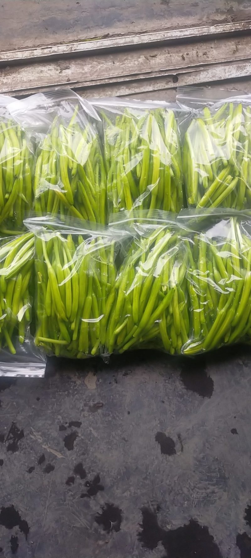 黄花菜