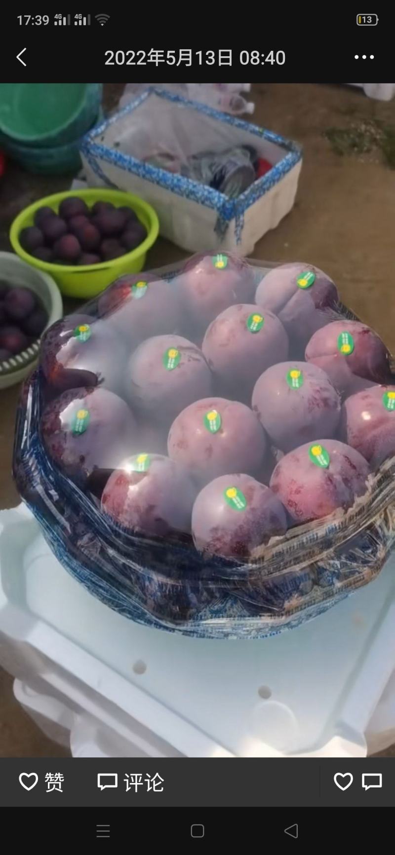 ，幸运李子。黑布林李子，大量上市。就是便宜，便宜
