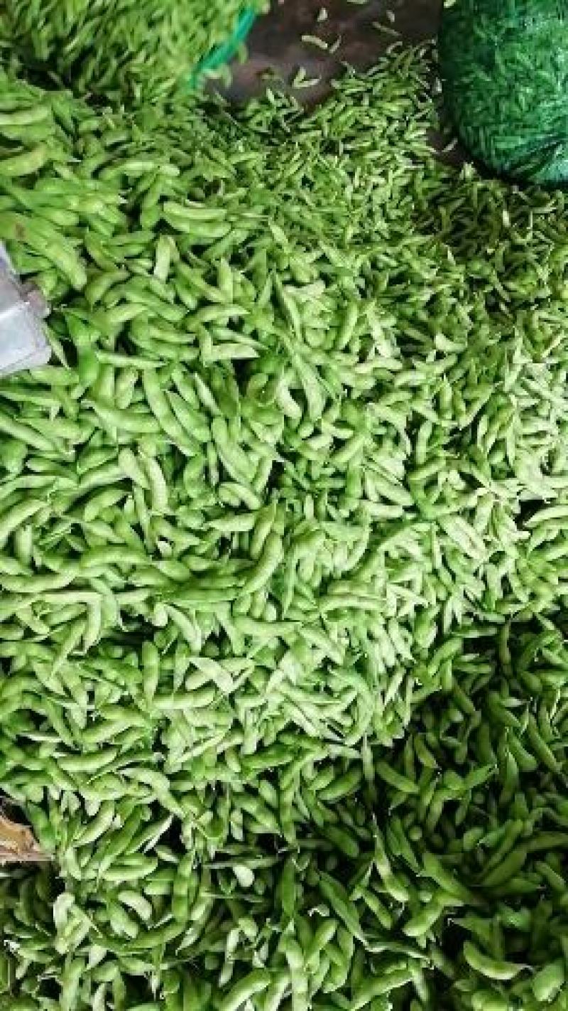 毛豆已上市，翠绿宝大棚种植，设备齐全需要的联系。
