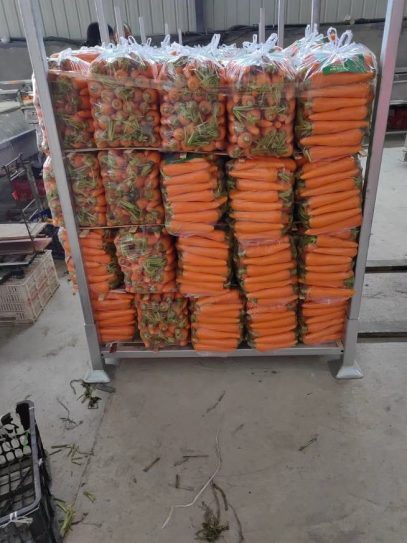 陕西榆林靖胡萝卜，电商平台，超市，档口，中条小条，大头，