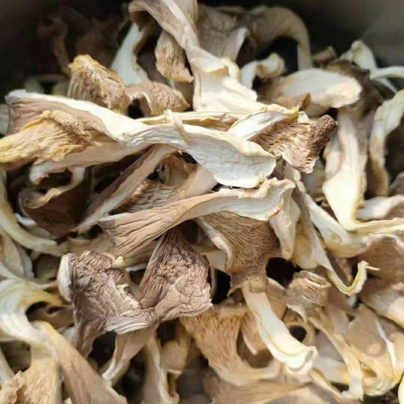 干平菇晒干平菇烘干平菇条形片形都有货