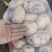 黄皮黄心土豆，希森6，希森3，v7，806，中薯5号