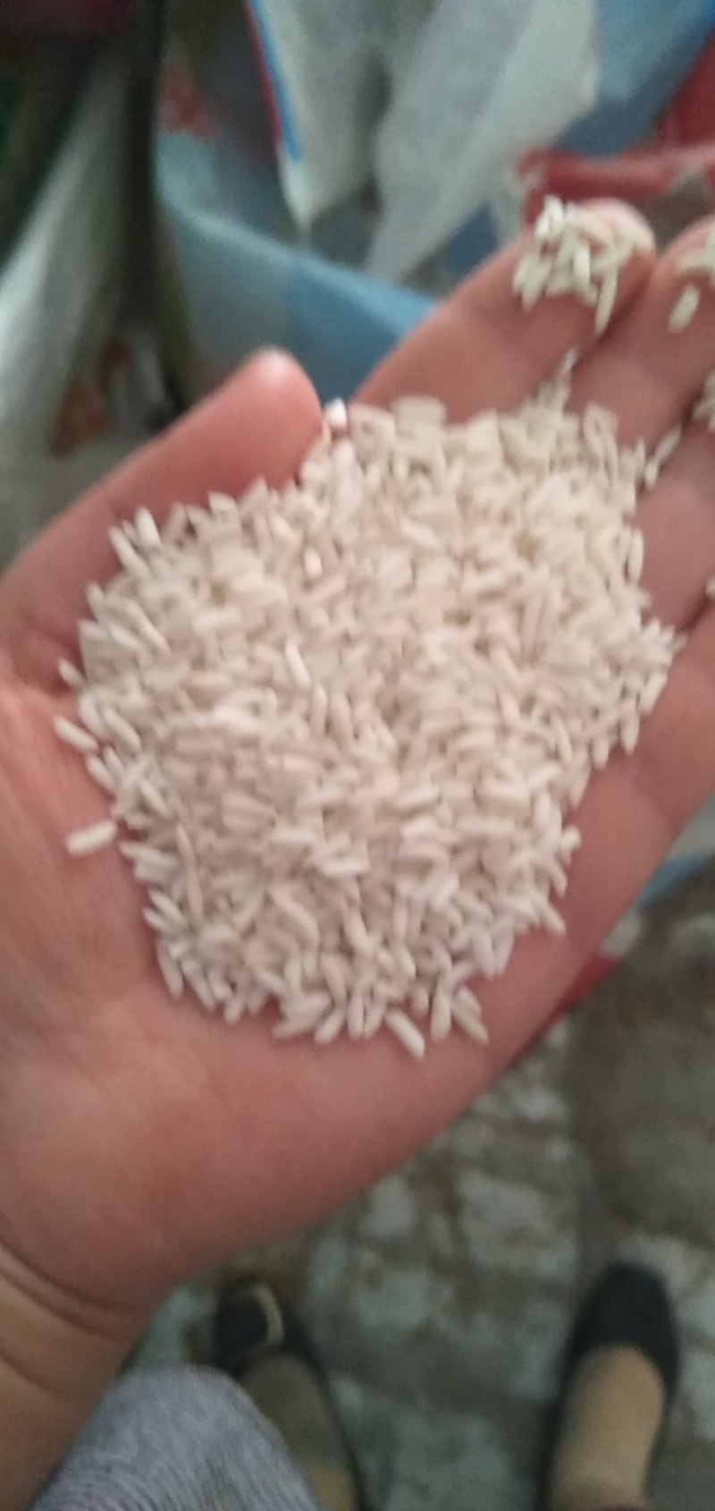 厂家直销大颗粒糯米雪白糯米