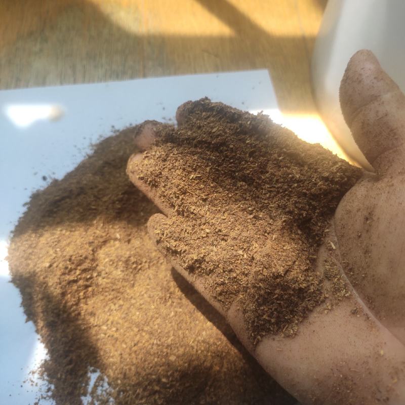 陕西西凤烘干机酒糟，蛋白15.5，脂肪4，水份5，灰10