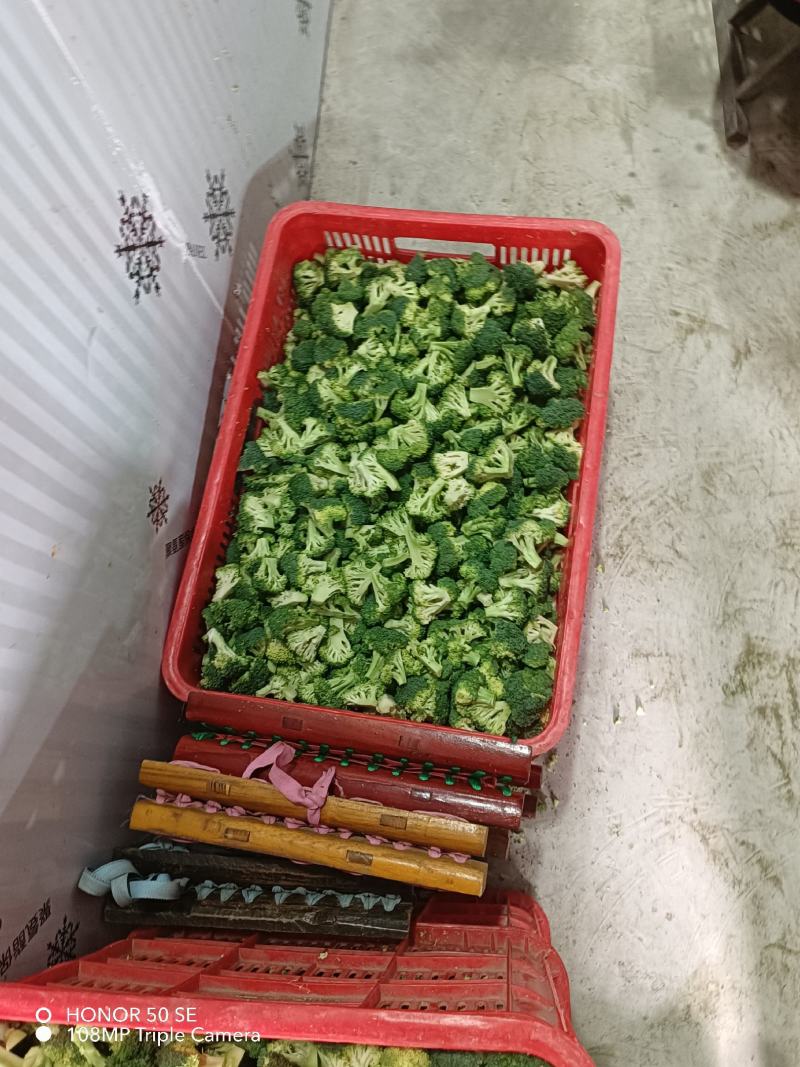 新季速冻西兰花绿花菜餐厅饭店蔬菜厂家供应现货大量批发