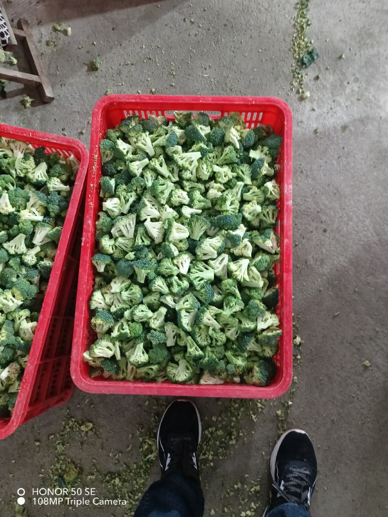 新季速冻西兰花绿花菜餐厅饭店蔬菜厂家供应现货大量批发