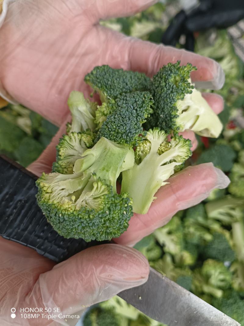 新季速冻西兰花绿花菜餐厅饭店蔬菜厂家供应现货大量批发