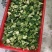 新季速冻西兰花绿花菜餐厅饭店蔬菜厂家供应现货大量批发