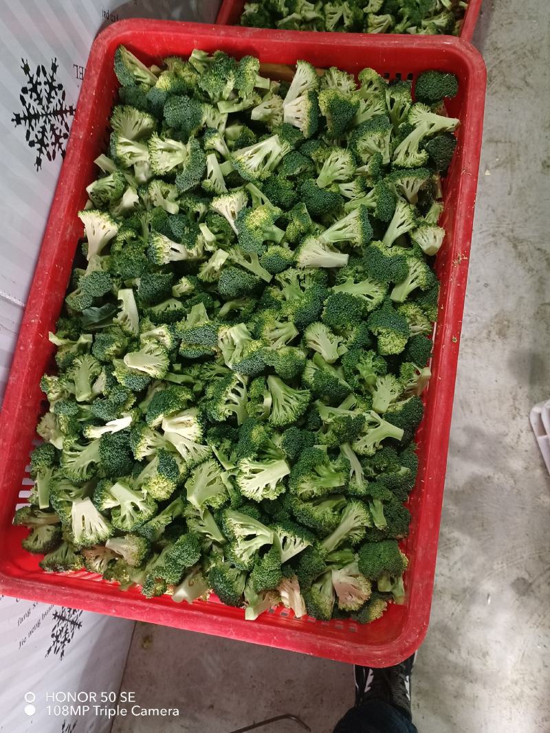 新季速冻西兰花绿花菜餐厅饭店蔬菜厂家供应现货大量批发