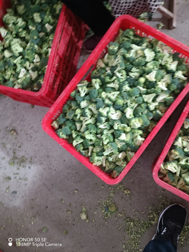新季速冻西兰花绿花菜餐厅饭店蔬菜厂家供应现货大量批发