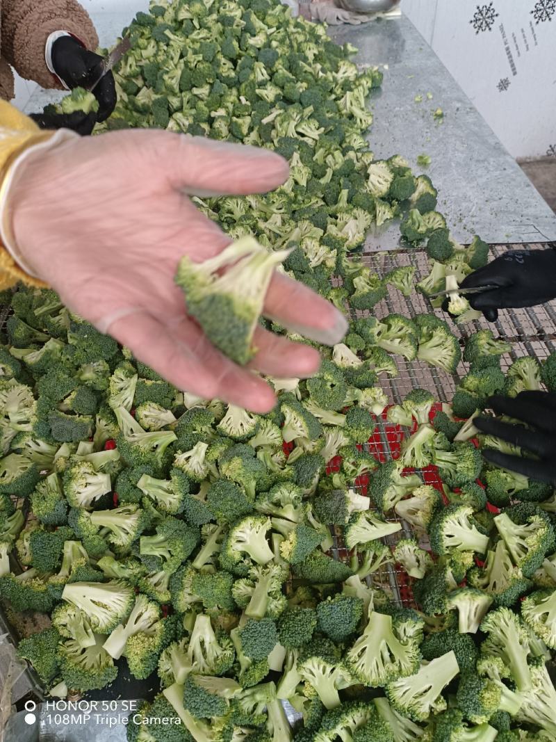 新季速冻西兰花绿花菜餐厅饭店蔬菜厂家供应现货大量批发