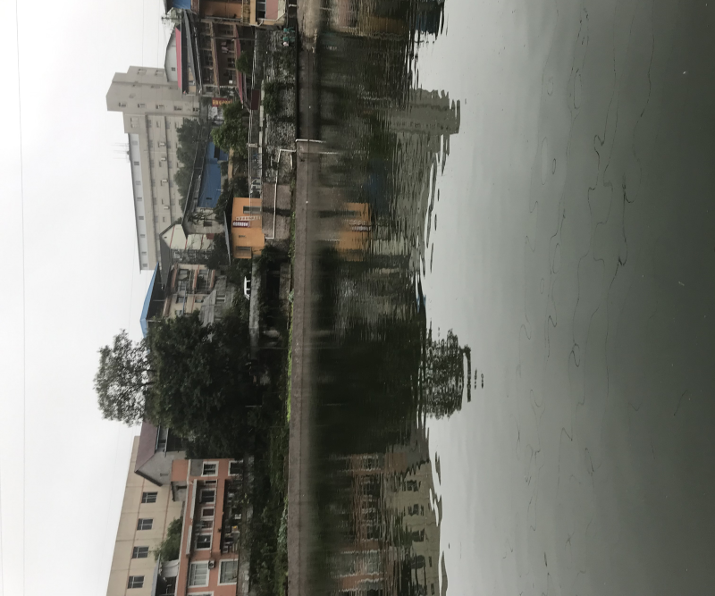 歌乐山森林公园周边12亩钓鱼出zu