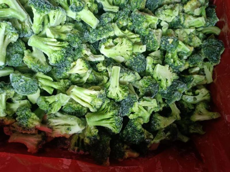 新季速冻西兰花绿花菜餐厅饭店蔬菜厂家供应现货大量批发