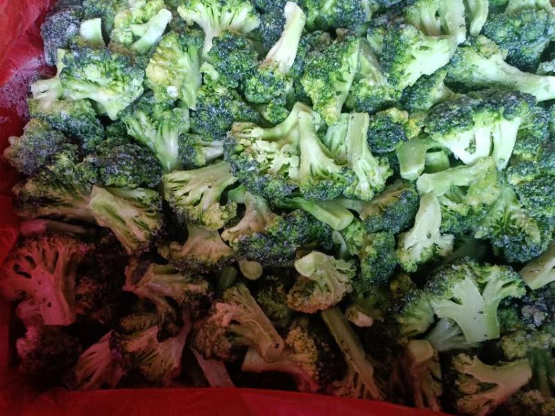 新季速冻西兰花绿花菜餐厅饭店蔬菜厂家供应现货大量批发