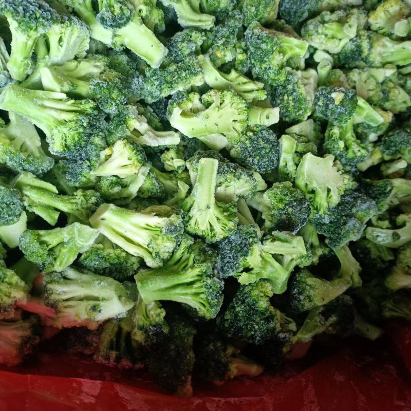 新季速冻西兰花绿花菜餐厅饭店蔬菜厂家供应现货大量批发