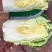 【黄心白菜】优选白菜货源充足量大从优可致电详谈有需致电
