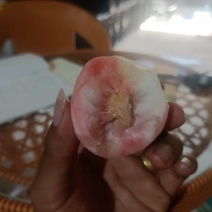 云南元江高山红桃，红肉离核桃