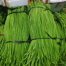 徐闻精品长豆角上市了新鲜采摘质量很好，大量有货