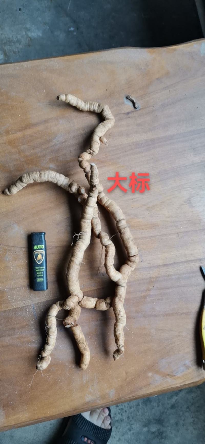 巴戟天特标鲜货