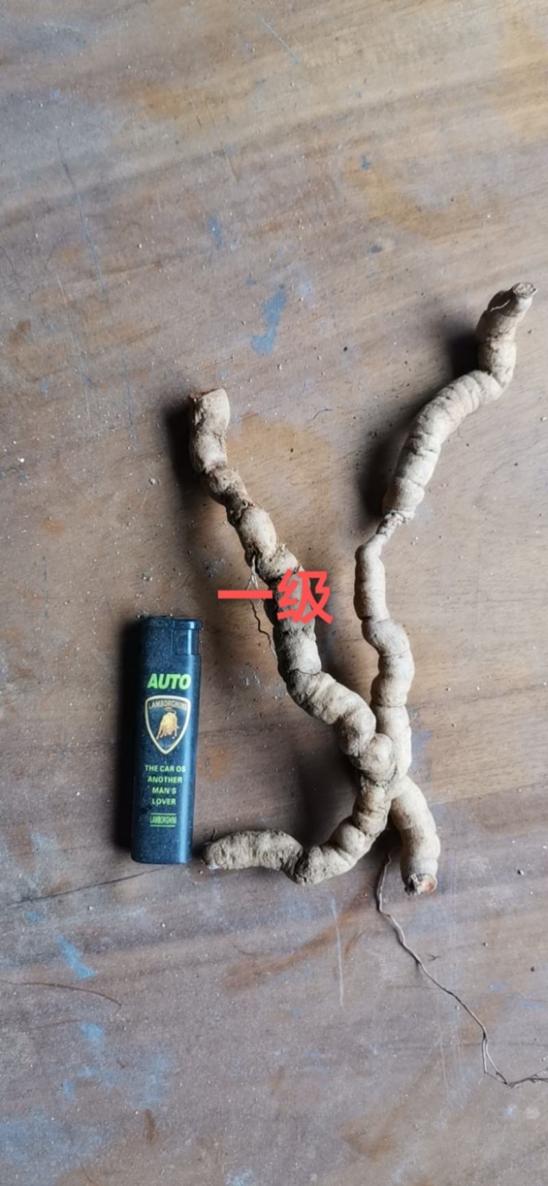 巴戟天一级鲜货