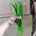山东线椒，精品八号线椒，量大质优，货量充足，代发全国