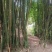 江津走马镇160平宅基地0元zu金流转20年