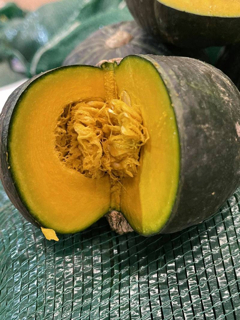 正宗惠和贝贝南瓜粉糯细腻吃一口越吃越想包粉包面