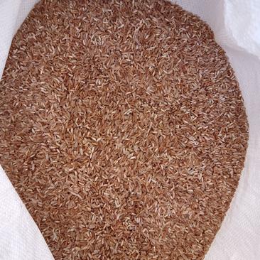 软红米，产地直供，大量供应