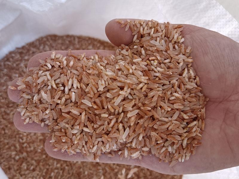 软红米，产地直供，大量供应