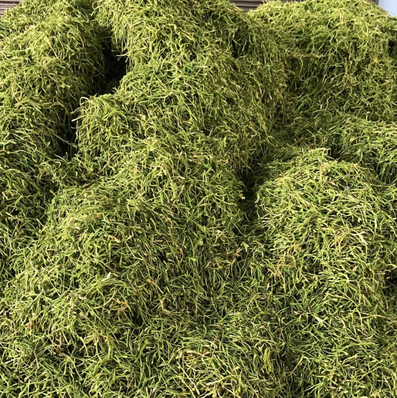 金银花山银花野生手工采摘太阳晒烘干