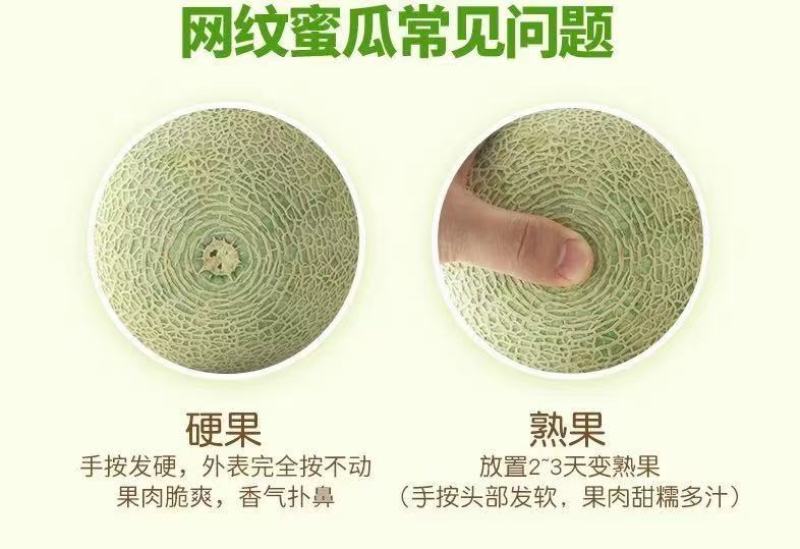 【支持一件代发】精品礼盒装玫珑蜜瓜，网纹瓜，甜度18