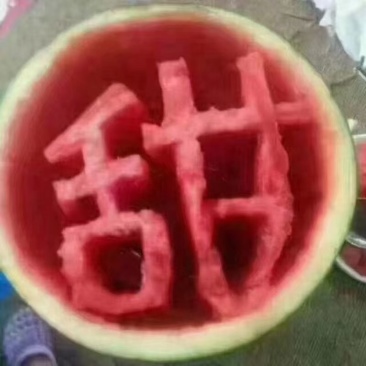 陕西甜王