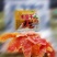 版纳特产批发，价格实惠品种齐全，品质保证
