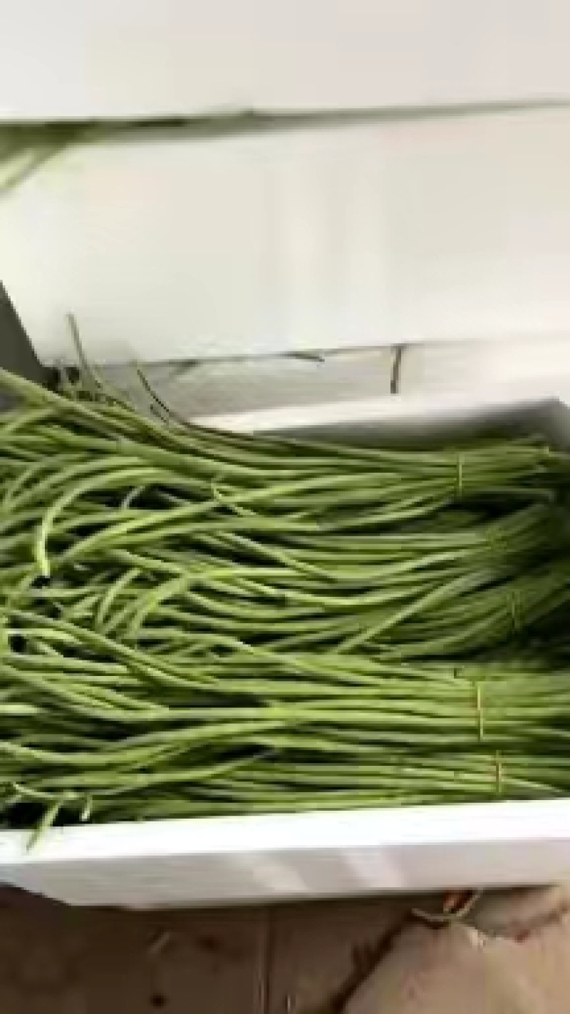 长豆角