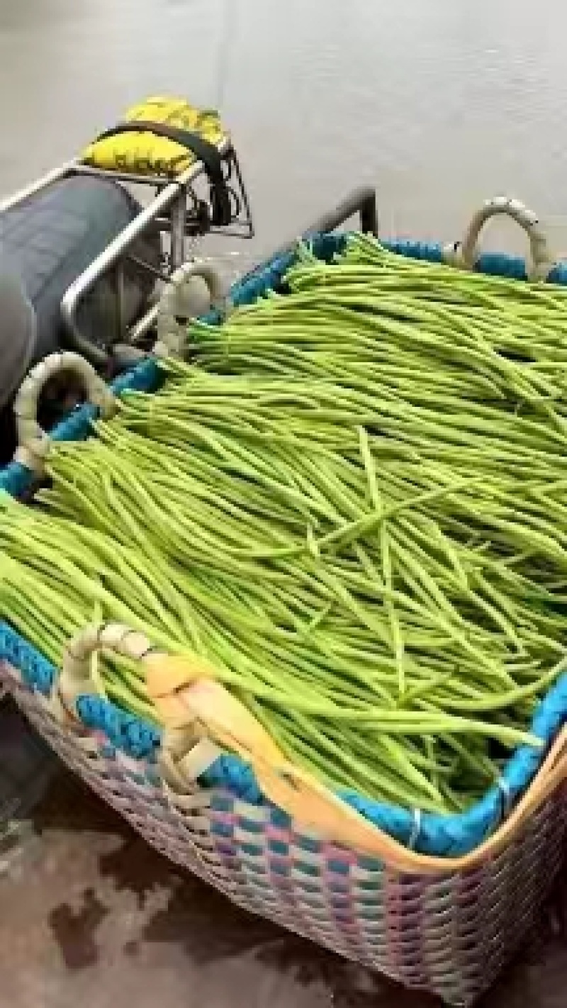 长豆角