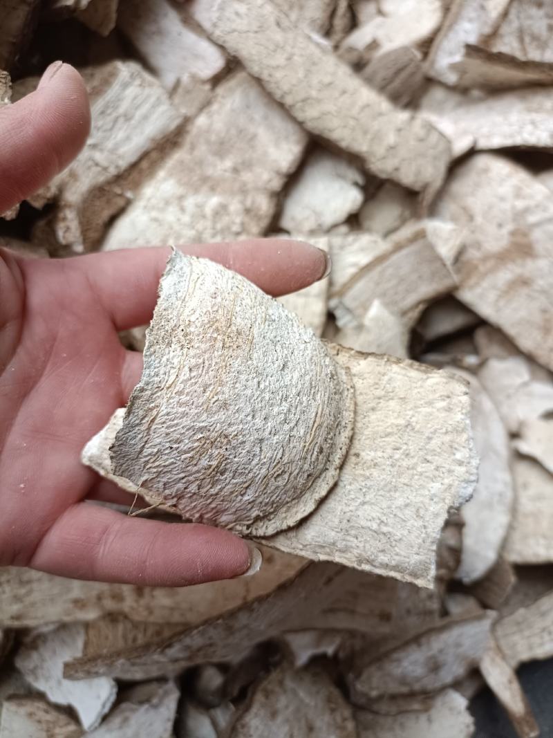 天花粉片野生5斤起批一手货源产地直发