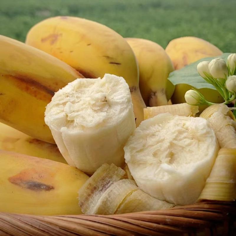 苹果蕉粉蕉糯米蕉西贡蕉孕妇水果整箱净含量3斤5斤9斤